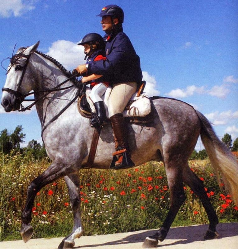 Tandem Vaquera Saddle